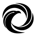 Intraizen Aerospace